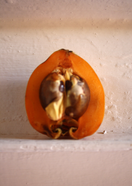 nèfles_2