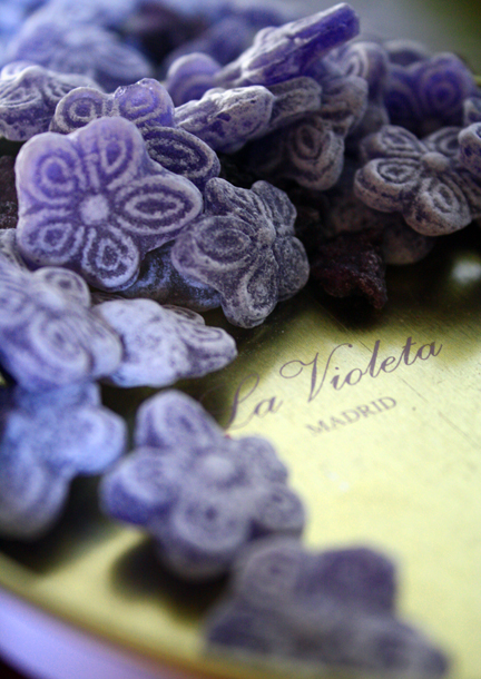 violette_1