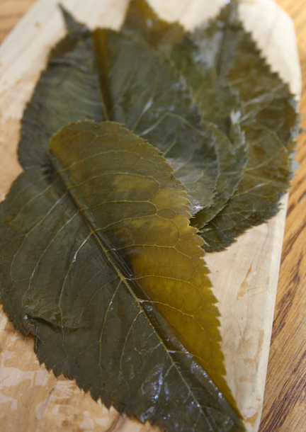 feuilles de cérisier en saumure