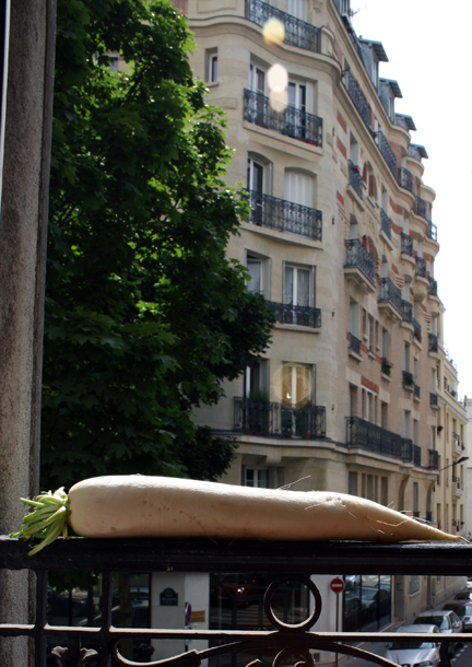 daikon #1