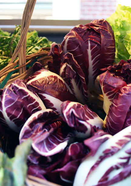 radicchio