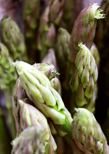 asperges #3