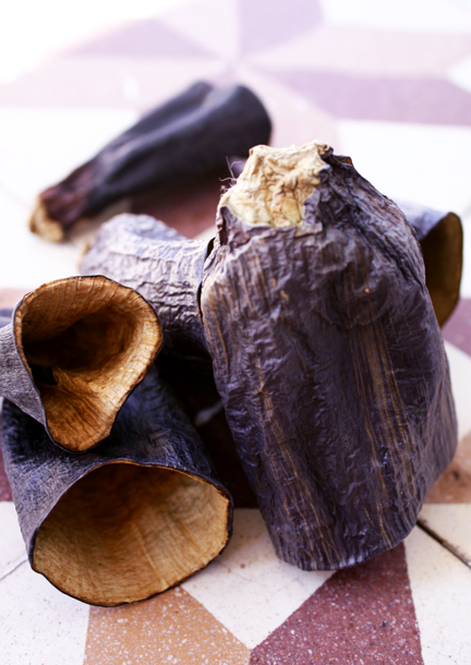 aubergine séchée #2